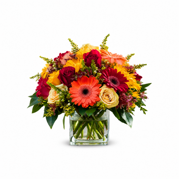 Fall Flowers