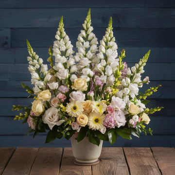 Sympathy and Funeral For Home
