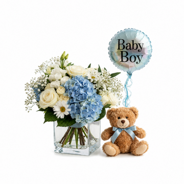 Blue Wonder Baby Bundle