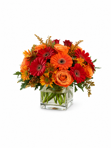 Radiant Fall Fusion Arrangement