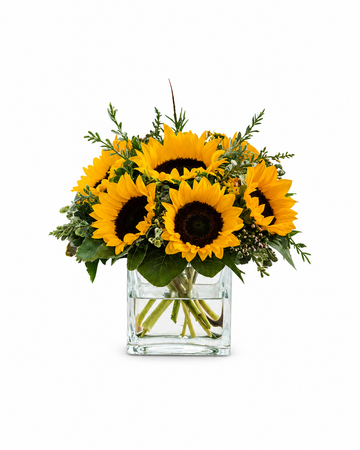 Sunflower Radiance Cube