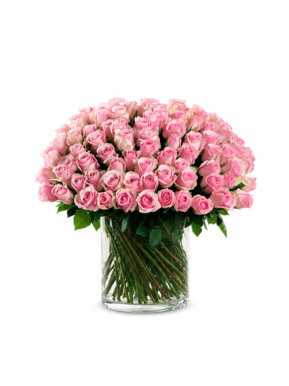 75 Pink Roses Bliss