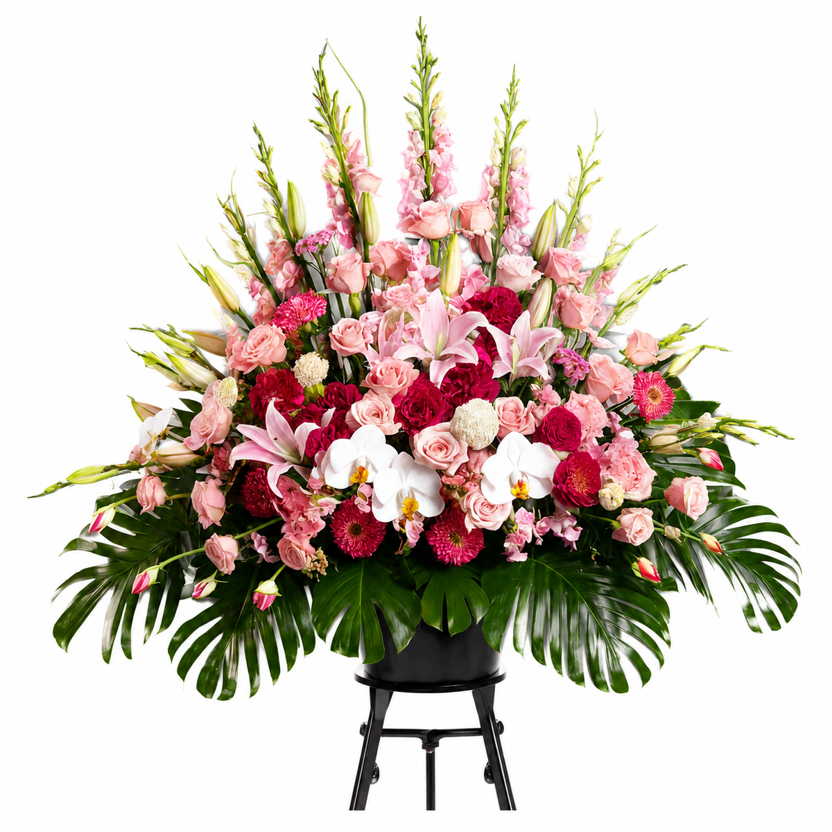 Regal Pink Reverie