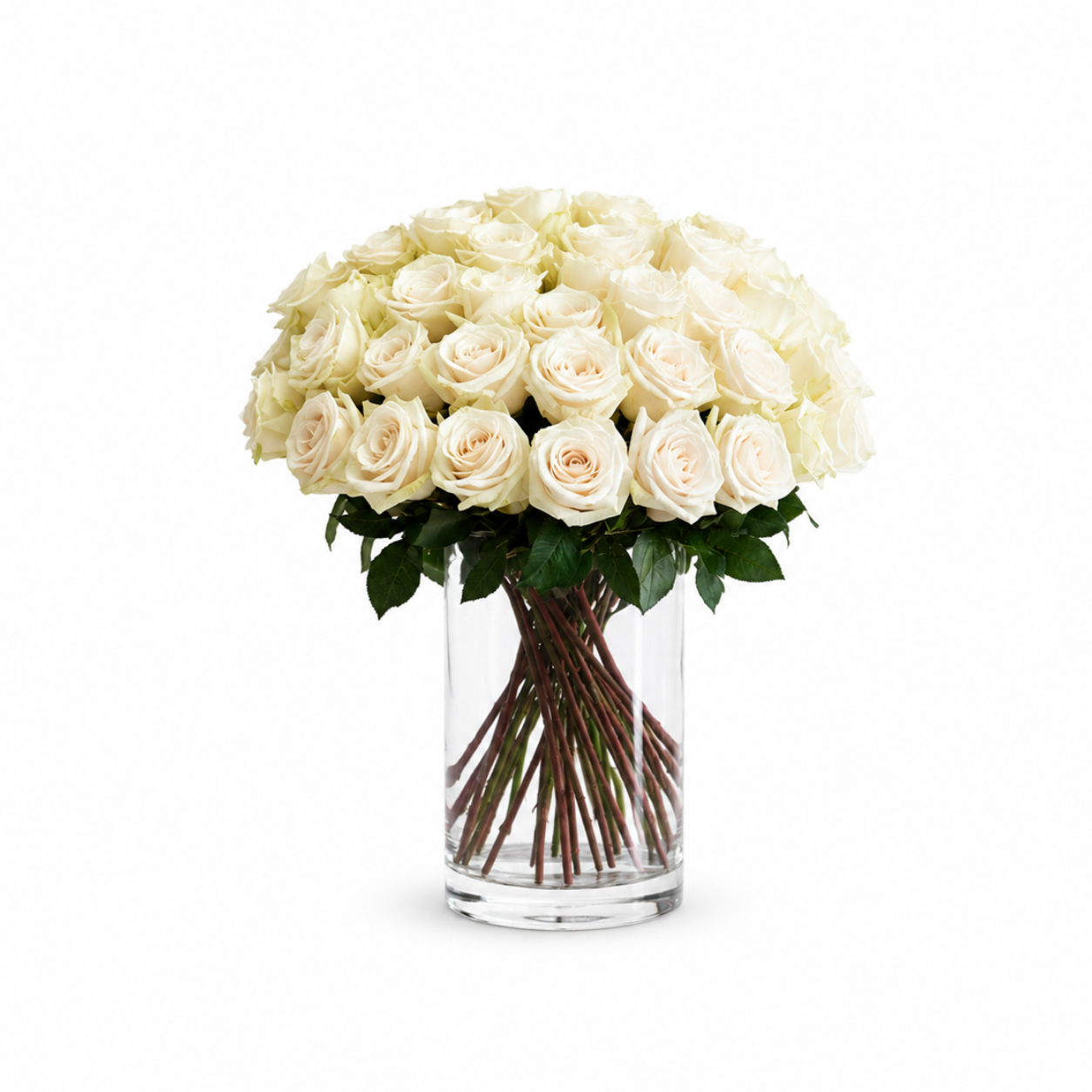 Heart & Mind Box Rose Set