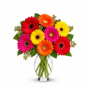 Teleflora's Gerbera Brights