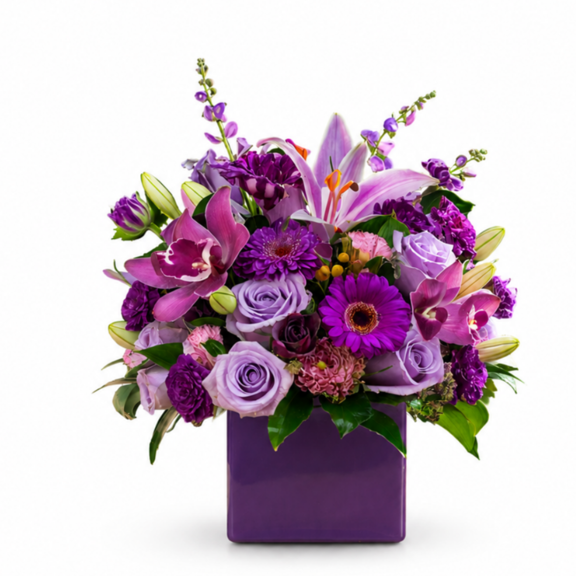 Purple Exotica Cube