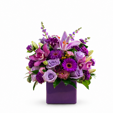 Purple Exotica Cube