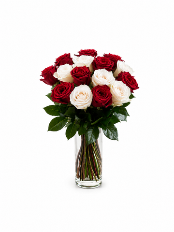 12 Red & White Roses Harmony
