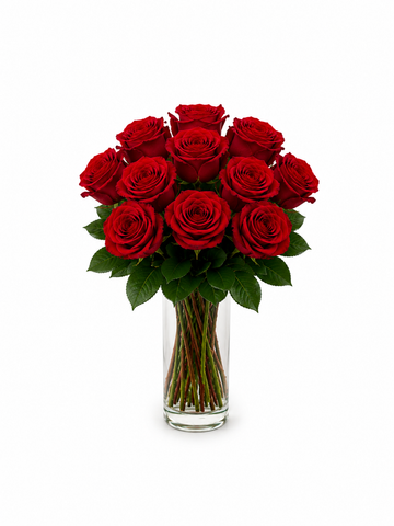 Dozen Classic Red Rose Elegance