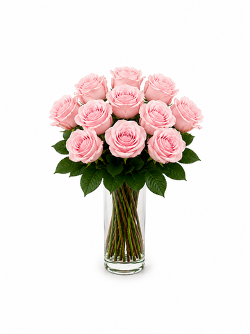 Dozen Pink Roses