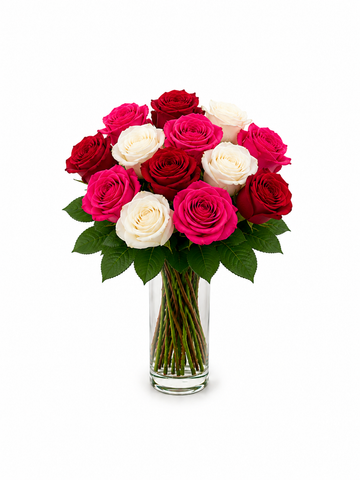 Dozen Red, Pink and White Roses