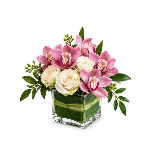 Orchid Delight